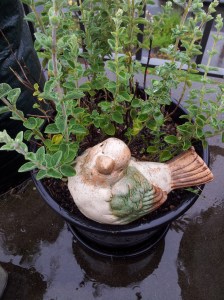 My Drowning Plaster Bird