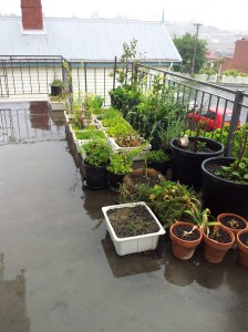 The Balcony Garden