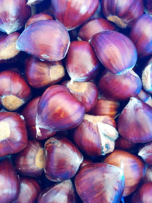 April 23 2014 Chestnuts