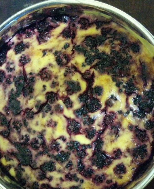 Home made Blackberry Cheesecake from last summer
