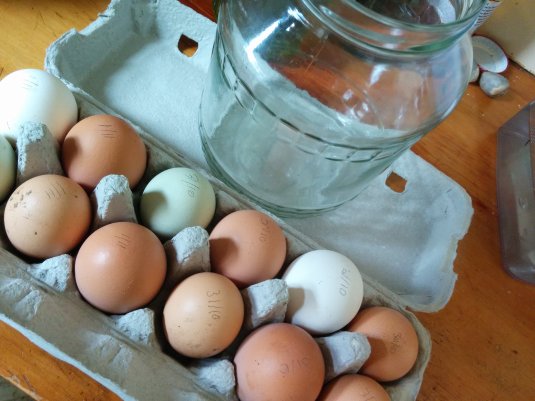 A dozen free range eggs and an old pickle jar, waiting to get together!