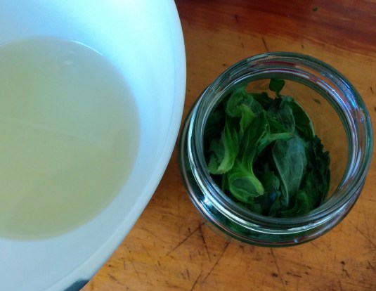 Pickling liquid and Shiso leaves in a jar
