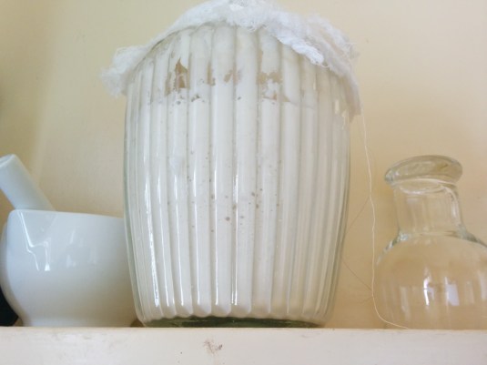 Wee Beastie - watching and waiting!